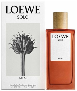 Отзывы на Loewe - Solo Atlas